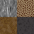 Leopard,Zebra,Panther