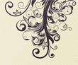 Vector Floral Design Element