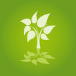 Vektor: tarjeta verde con árbol tarjeta verde con árbol