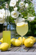 Cocktail served in the garden