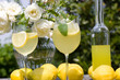 Cocktail summer party
