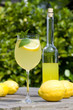 Cocktail with lemon slices and balm