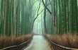 竹林の小道