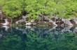 鎌池