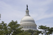capitol dome in Washington DC, USA capitol dome in Washington DC, USA