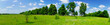 Camomiles and blue sky in the wide steppe.