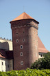 Tour de Wawel, Cracovie