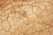Sol assèché, Mongolie Sol assèché, Mongolie