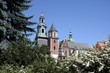 Colline de Wawel, Cracovie