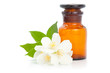 Aromatherapy. Jasmine with bottle isolated on white