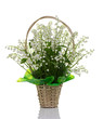 Bouquet  lily of the valley.