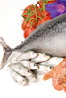 SARDE E CODA DI TONNO SARDE E CODA DI TONNO