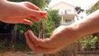 giving key of a house 2 giving key of a house 2