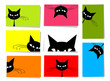 Set of funny cats, 10 cards with place for your text