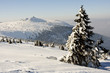 W Karkonoszach W Karkonoszach