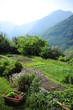 Jardinage biologique
