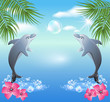 Dolphins leaps from water