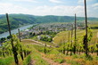 Kröv an der Mosel