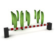 cucumber