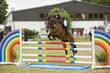 Springreiten