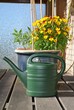 Gießkanne und Blumen auf dem Balkon