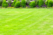 Park bush