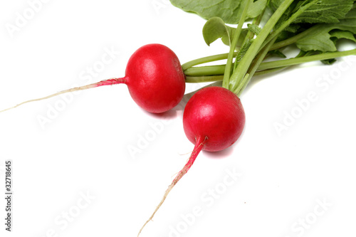 Photo: Two fresh radishes Two fresh radishes