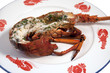 lobster on the half shell