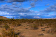 Desert Storm Forming Desert Storm Forming