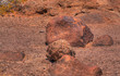 Ancient Arizona Indian petroglyphs