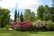 Großer Garten im Frühling
