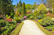 Beautiful garden in Spring time