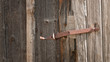 Old Outhouse