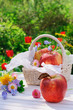 Red apples in basket and flowers in the garden