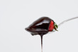 ����: Strawberry with chocolate � Robert Sijan #32739201