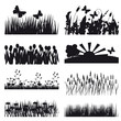 Character outlines details of nature Character outlines details of nature