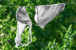 Photo: panties and bra drying panties and bra drying