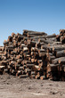 Stack of freshly cut logs