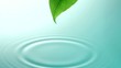 葉から水滴