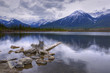 Up-Rooted Tree laying in a Mountain Lake HDR Up-Rooted Tree laying in a Mountain Lake HDR