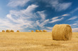 round bale of straw in the meadow