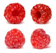 Vector illustration of ripe raspberry.