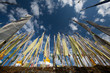 Buddhist flags and deep blue sky
