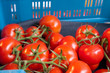 Tomaten