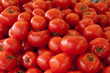 Tomaten