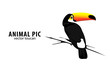 Vektor: Toucan Toucan