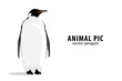 Pinguin