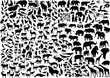 enormous animals silhouettes collection