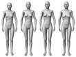 female morph - young to old