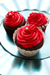 Fancy cupcakes